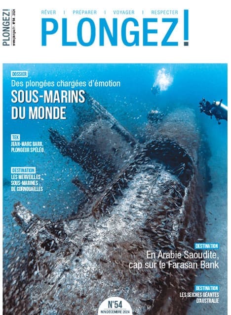 Explorez les profondeurs fascinantes de la Farasan Bank en Arabie Saoudite, une destination de rêve pour les passionnés de...