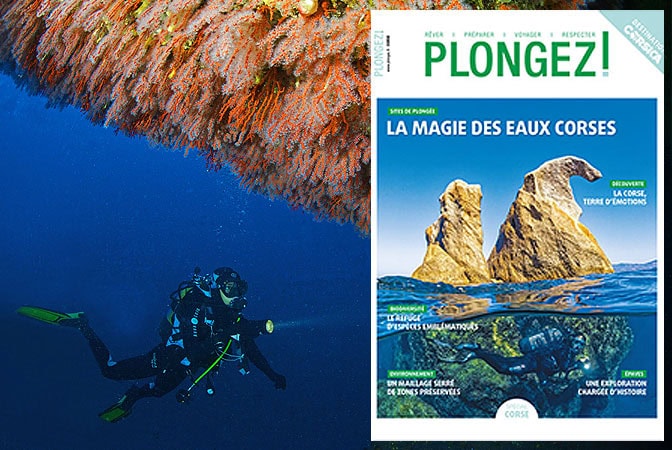 Explorez la Corse, un paradis sous-marin offrant des paysages époustouflants et une biodiversité exceptionnelle. #Plongée
