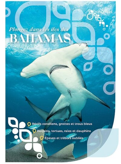 guide-plongeee-bahamas-optim Explorez les profondeurs des Bahamas, où récifs coralliens et requins-marteaux offrent une aventure sous-marine inoubliable.