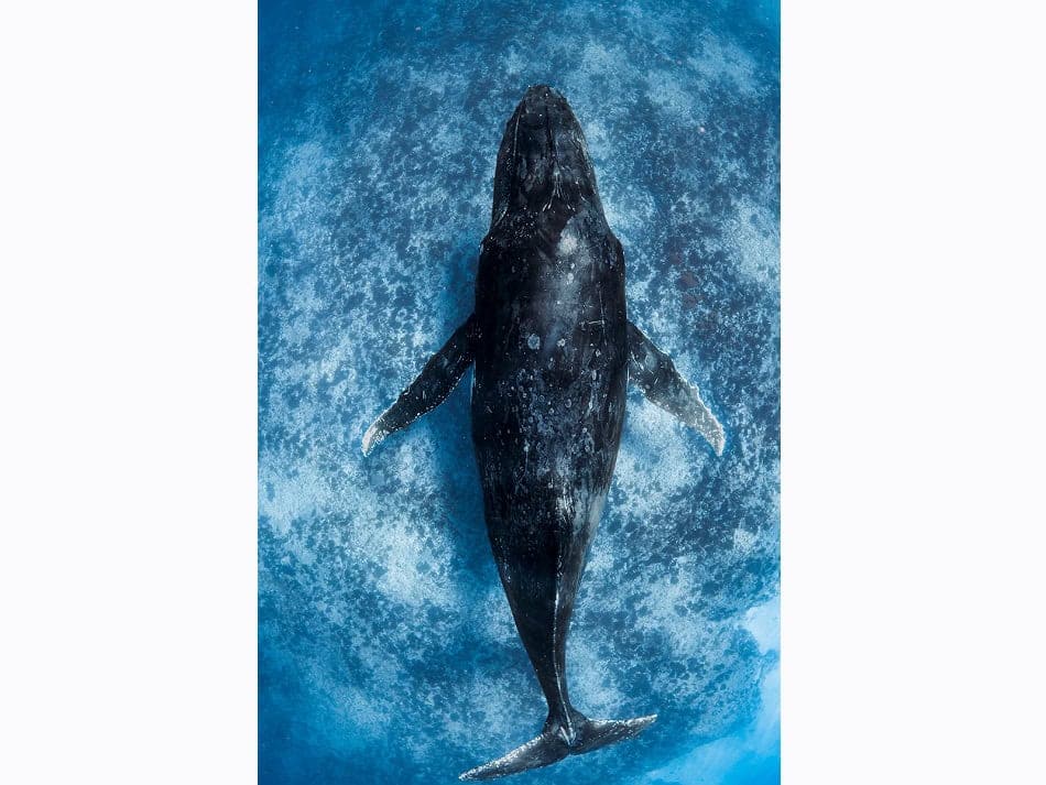 Mh1 Portfolio Laura Gourgas Dpg Masters 2024
