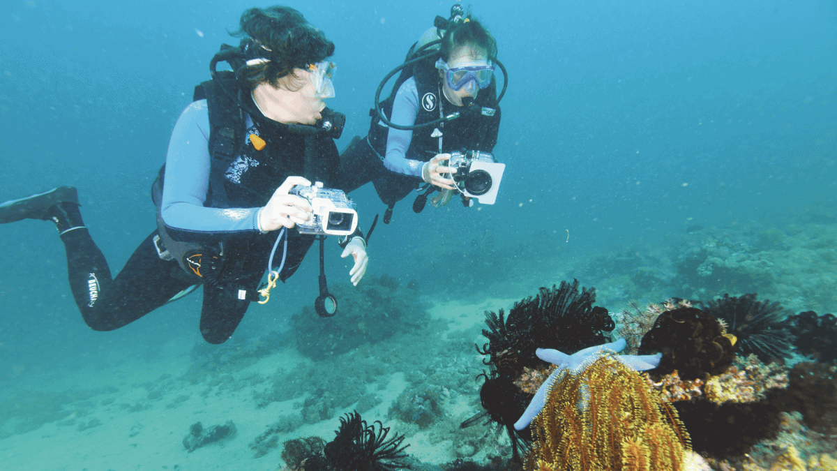 Aquapixel couverture