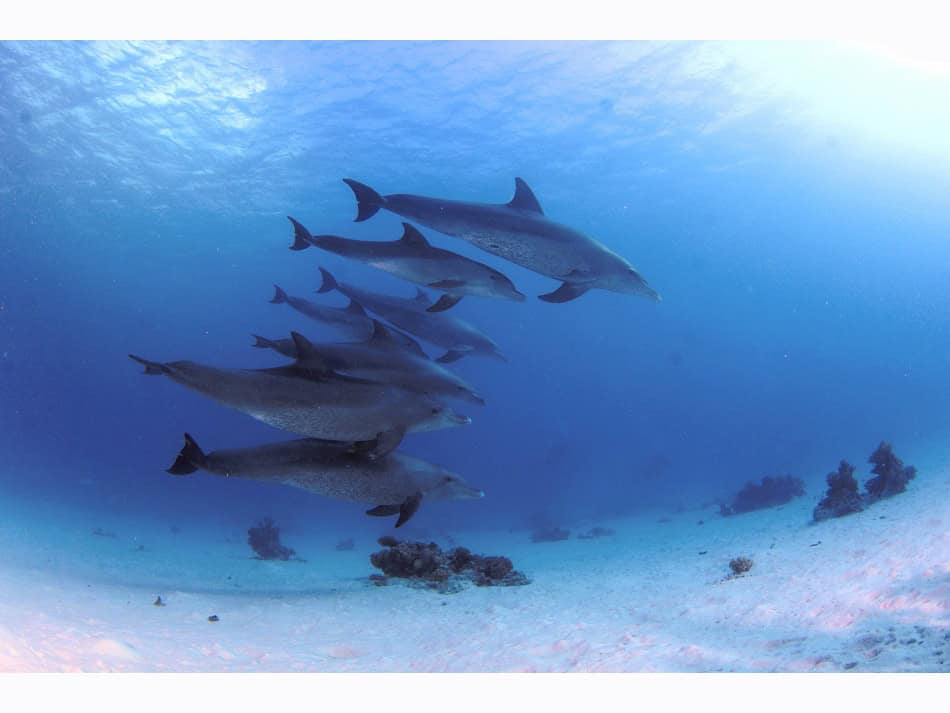 Hurghada daniel breckmann 20