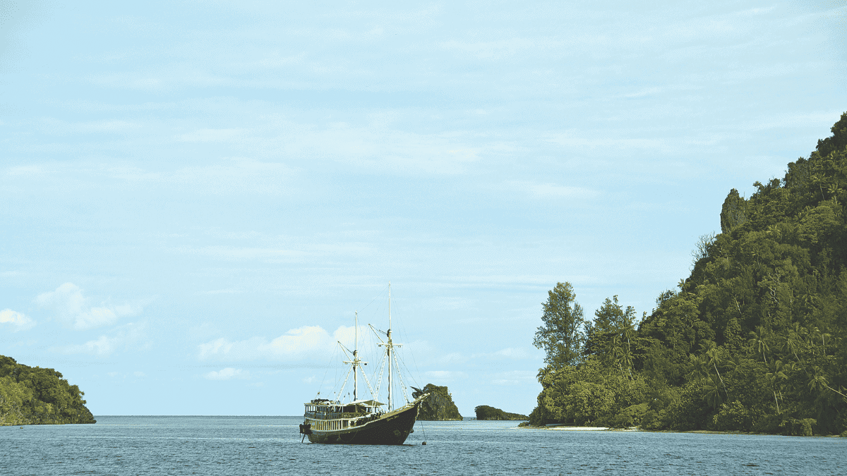 Moniteurs couverture