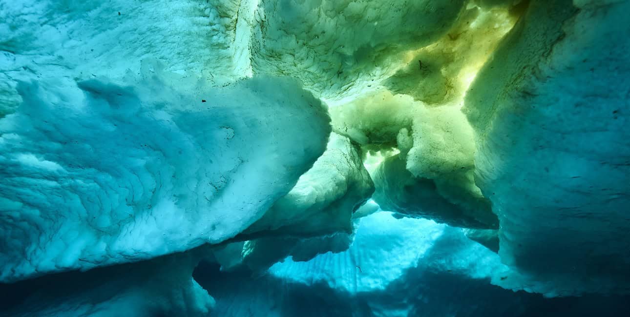 Sous la glace turquoise de l'Arctique, un monde sous-marin fascinant se dévoile, offrant une perspective unique sur l'envi...