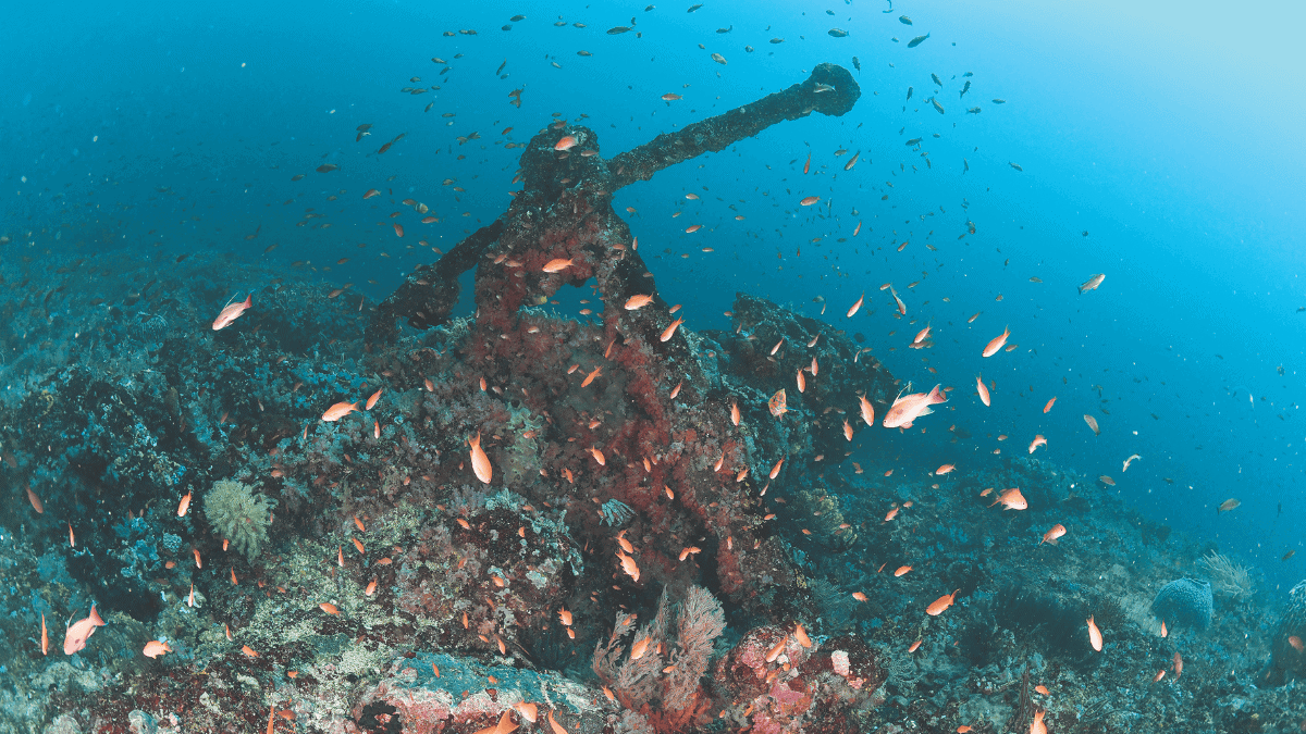 Puerto galera couverture