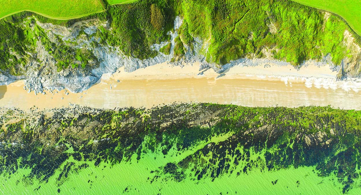 Vue aérienne d'une crique sauvage où la mer turquoise rencontre des falaises verdoyantes, idéale pour une escapade de plon...