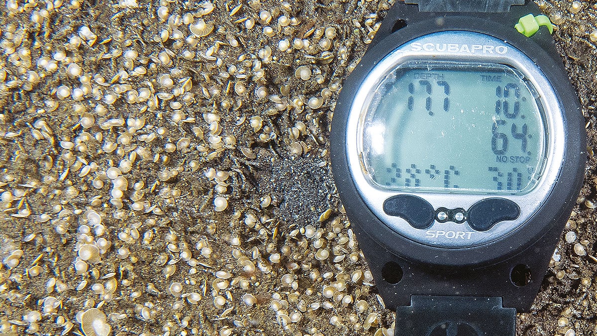 Un ordinateur de plongée repose sur un fond marin parsemé de foraminifères, illustrant la richesse de la biodiversité sous...