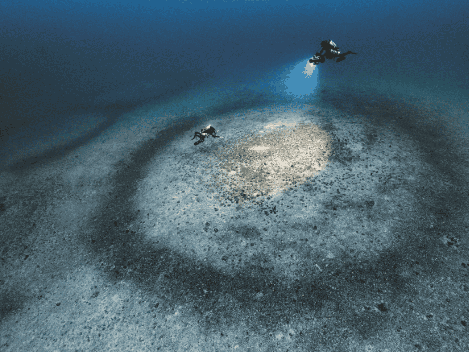 Laurent ballesta (4)