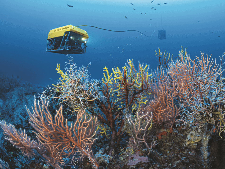 Laurent ballesta (5)