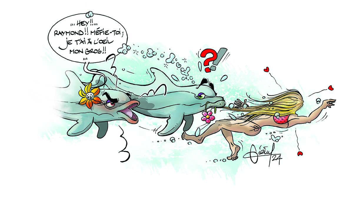 Deux dauphins espiègles interagissent avec une plongeuse sous-marine, illustrant la curiosité de la faune marine. #Plongée