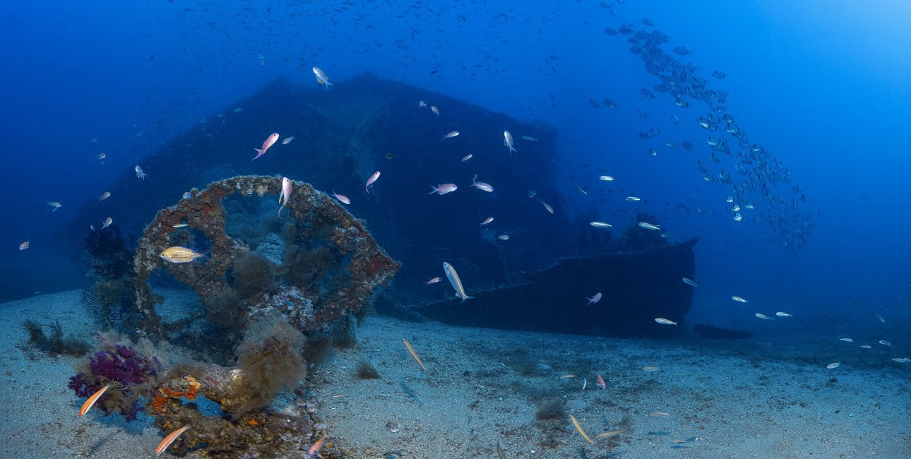 Un banc de poissons colorés entoure l'épave du Grec, offrant un spectacle fascinant pour les passionnés de plongée sous-ma...