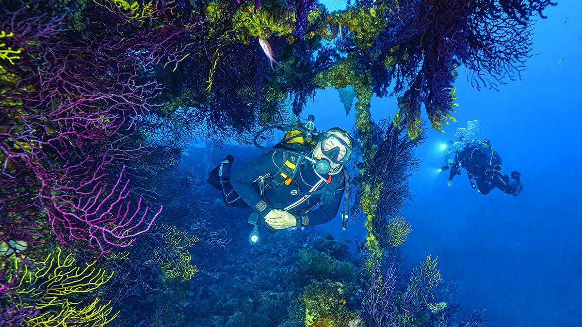 Deux plongeurs explorent un récif corallien vibrant, illuminant la biodiversité marine sous-marine. #Plongée