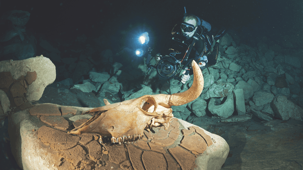 Cenotes couv (3)