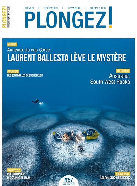 Plongée en Corse : Laurent Ballesta explore les mystères sous-marins pour une aventure captivante au cœur de la biodiversité.