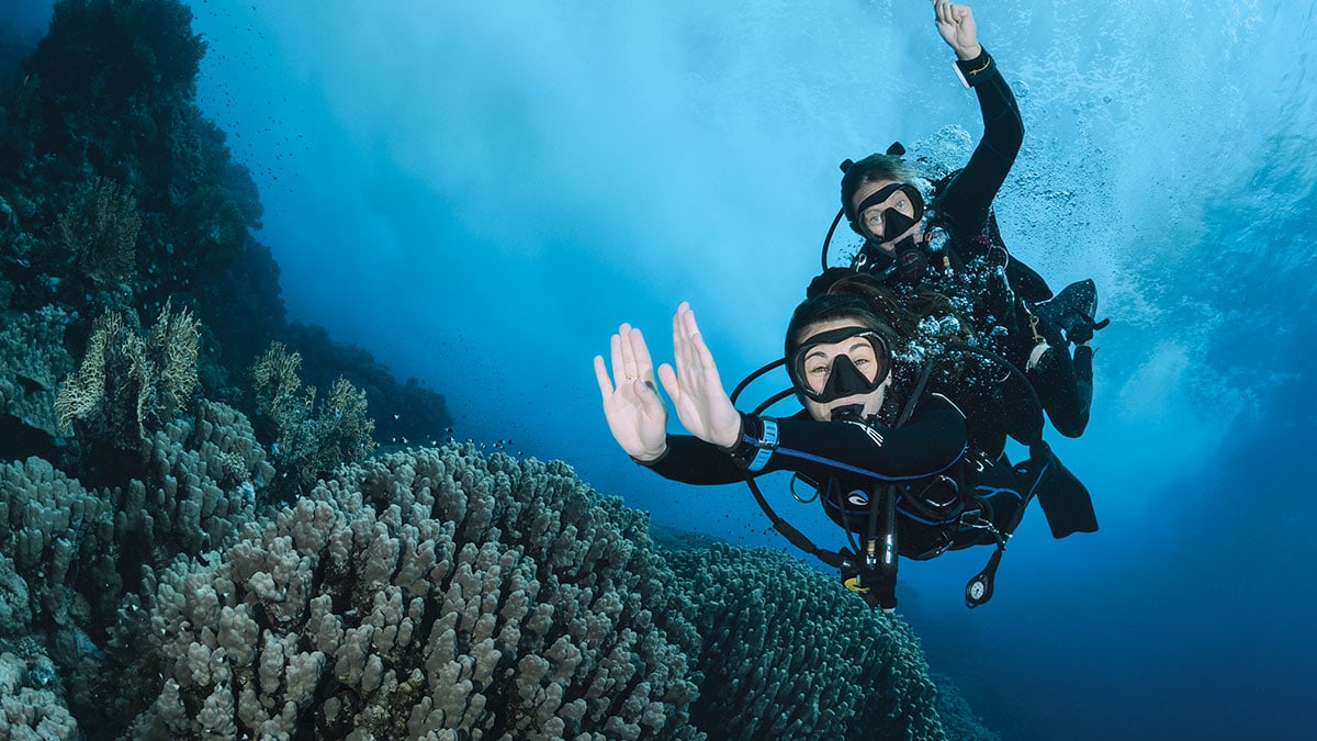 Deux plongeurs explorent un récif corallien vibrant, illustrant l'émerveillement et la biodiversité de l'environnement marin.