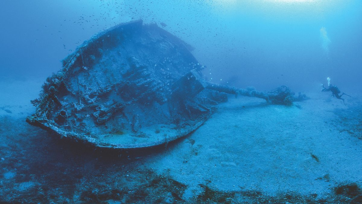 Un plongeur explore l'épave mystérieuse d'un navire immergé, entouré de poissons, illustrant la beauté du monde sous-marin.