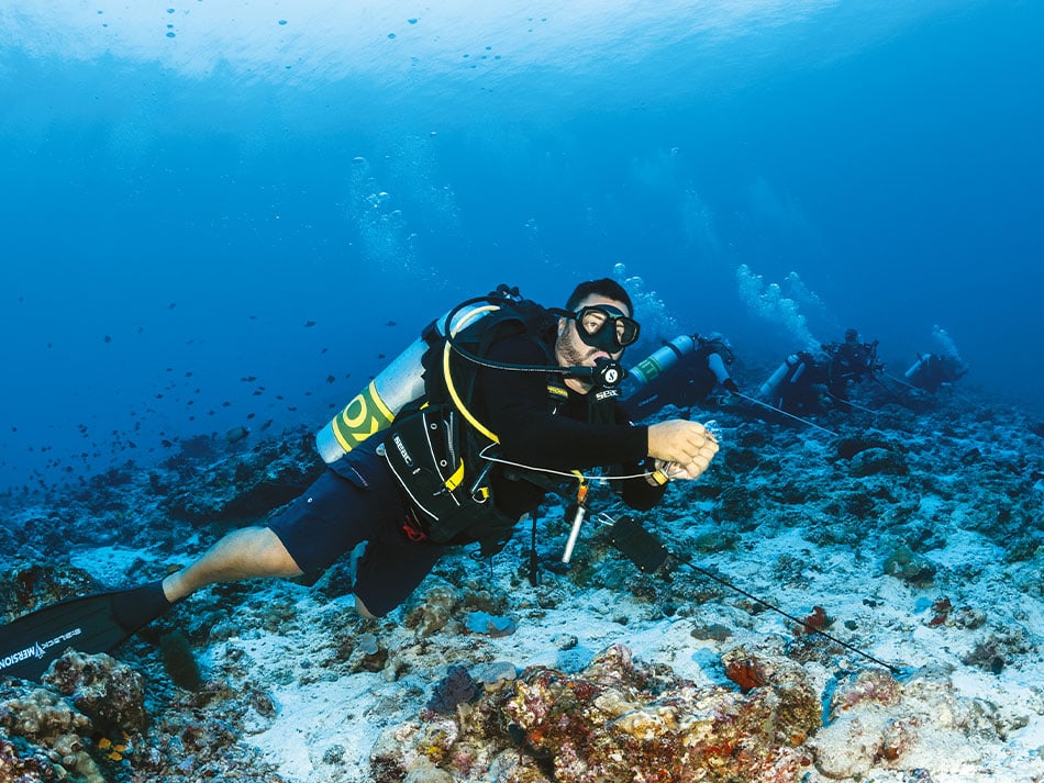 Plongee tek courant pieges mortels 6