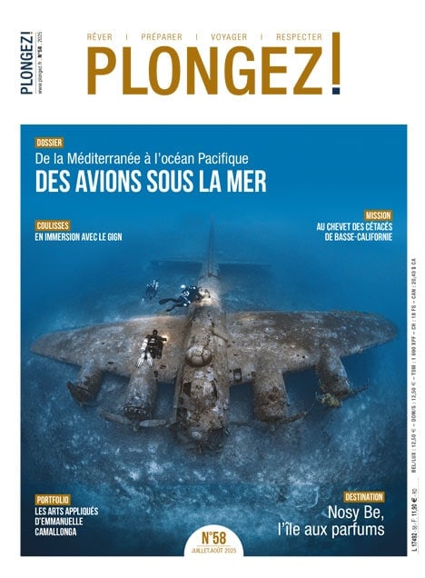 Plongeurs explorant une épave d'avion sous-marine, symbole fascinant de l'aventure et de la découverte dans les profondeur...