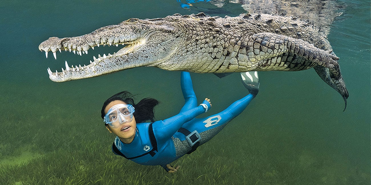 Exploration audacieuse : un plongeur côtoie un crocodile dans les eaux cristallines du Mexique, révélant la richesse de la...