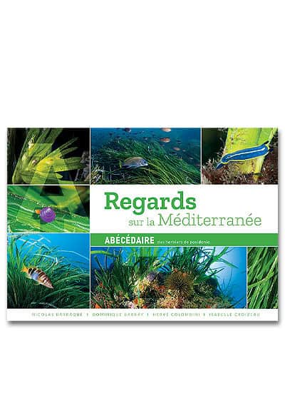 regards-sur-la-mediterannee
