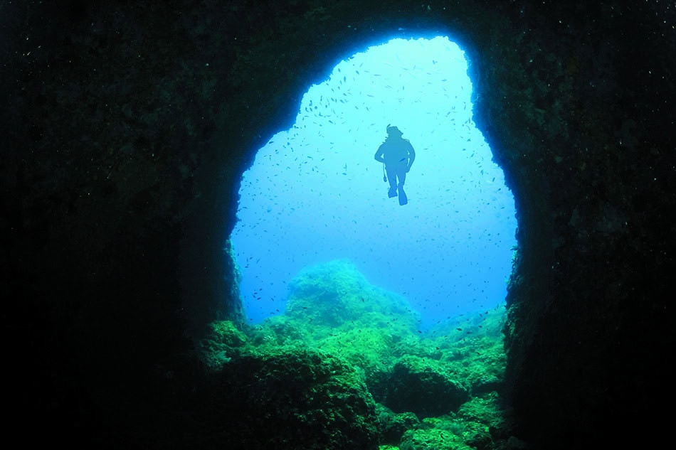 Plongée sous-marine à travers un tunnel naturel, révélant un monde marin vibrant et coloré.