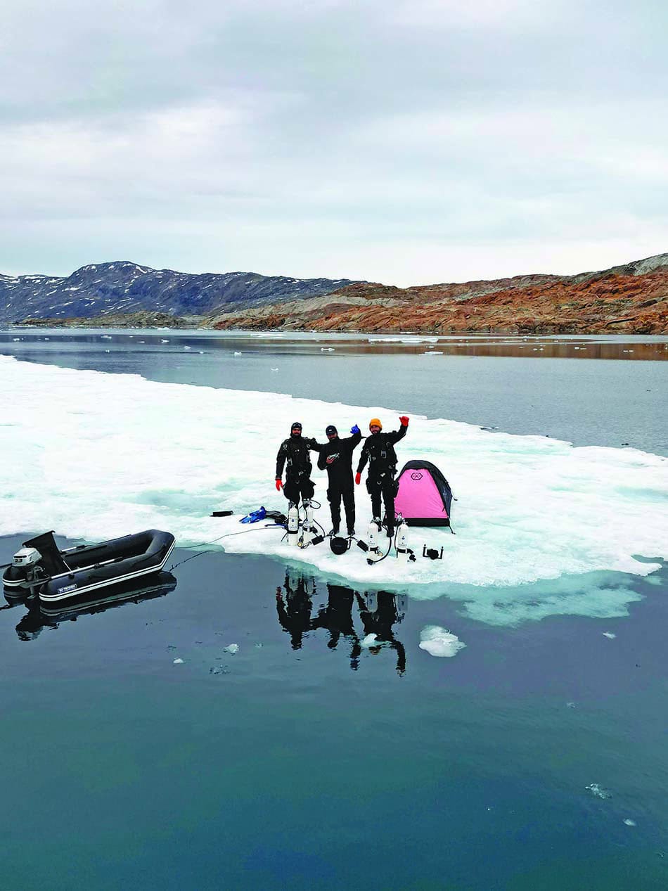 Plongée sous-marine dans les eaux glacées, explorant la beauté des paysages arctiques.