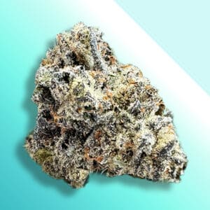 Glitter Bomb Strain THCA Flower - Premium Indica Hybrid Indoor Exotic Buds