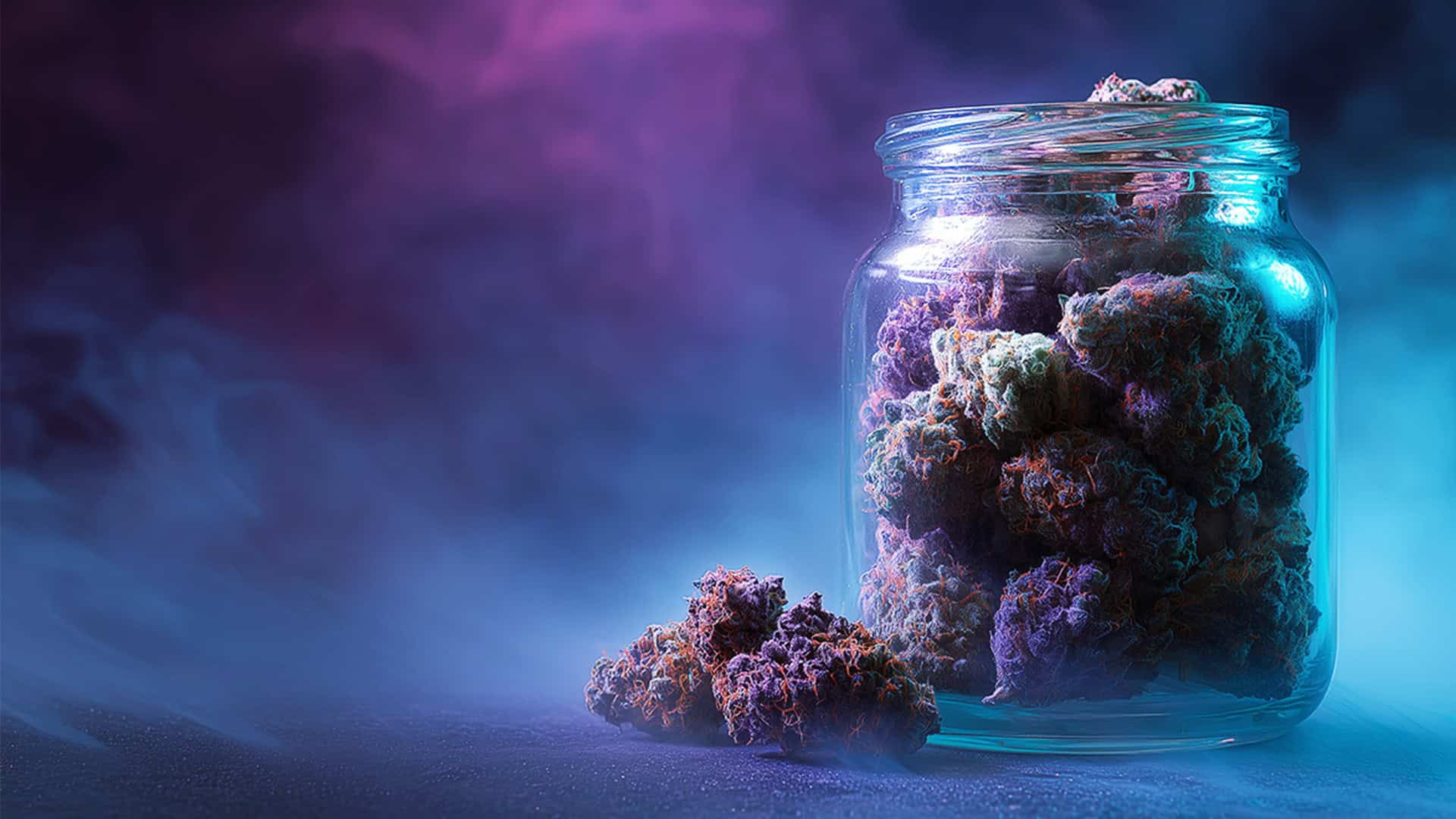 Open weed bundle box with THCA buds and purple smoke