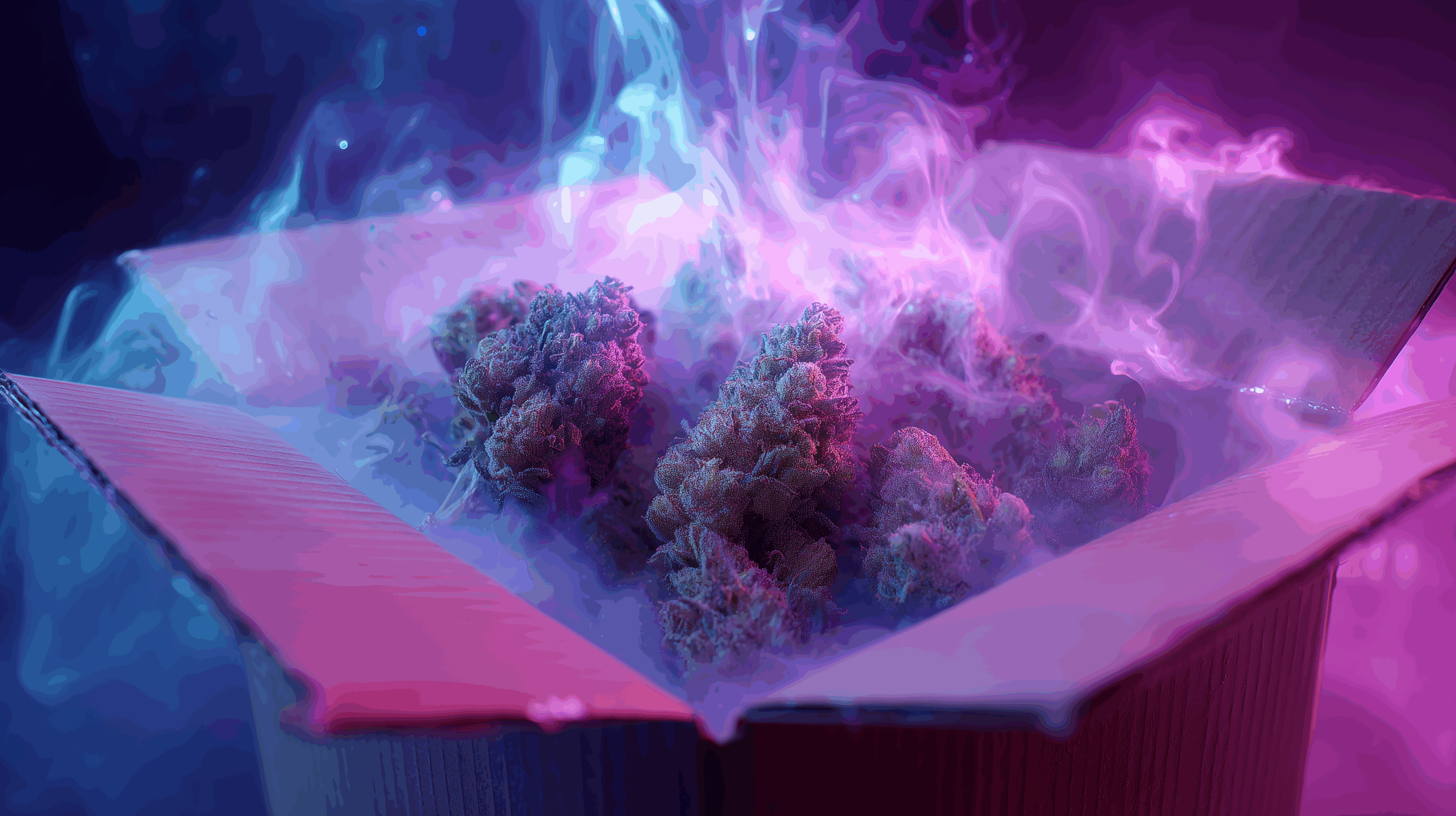 Open box of bulk THCA weed buds with pink and purple smoke and lighting