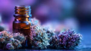 Premium THCA buds next to a cannabis tincture dropper bottle