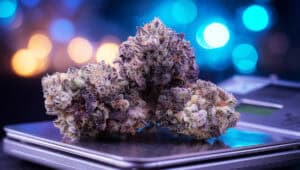 Large THCA cannabis bud being weighed on a digital scale at a recreational dispensary