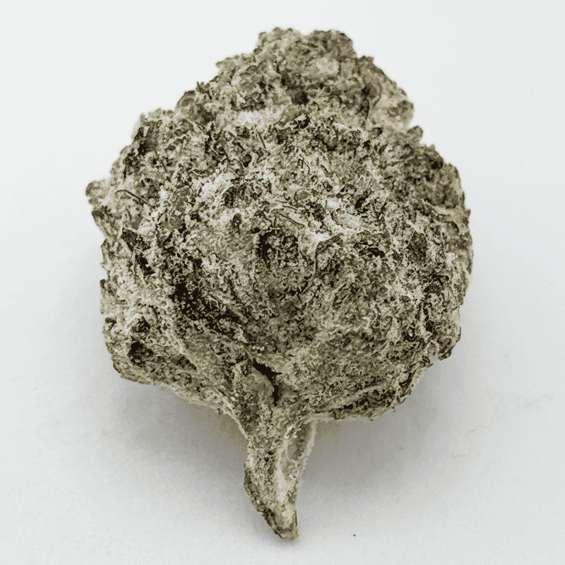 Trop Cherry Snow Caps premium single bud buy weed online legally dispensary near me THCA