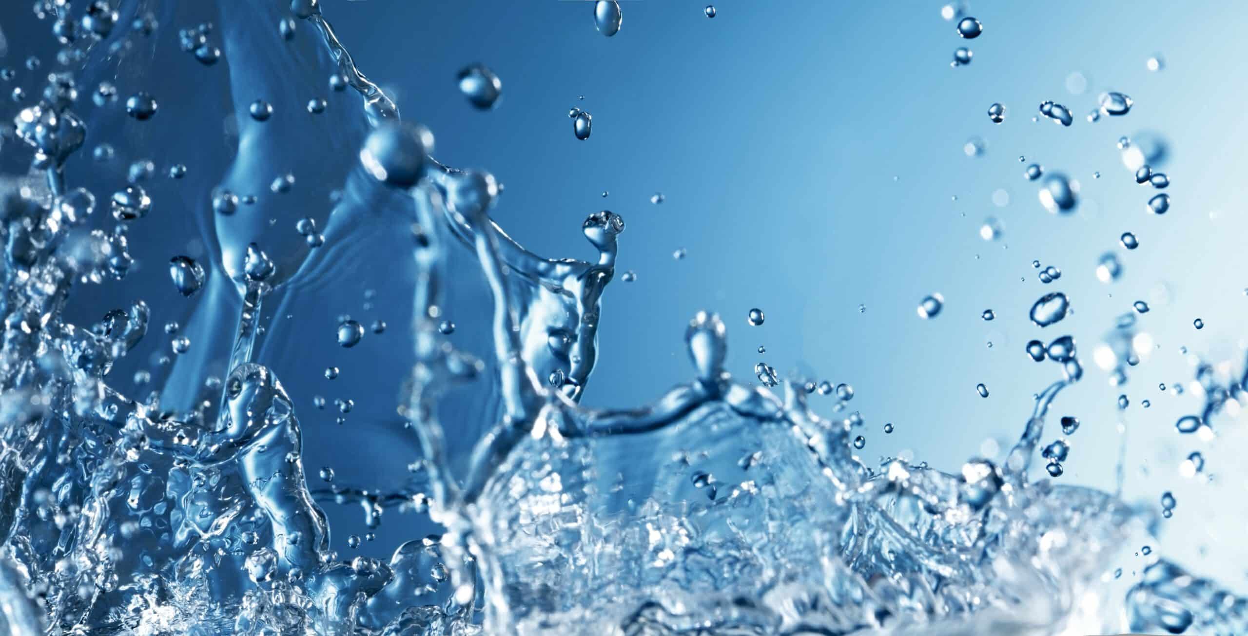 AdobeStock 279001979 scaled