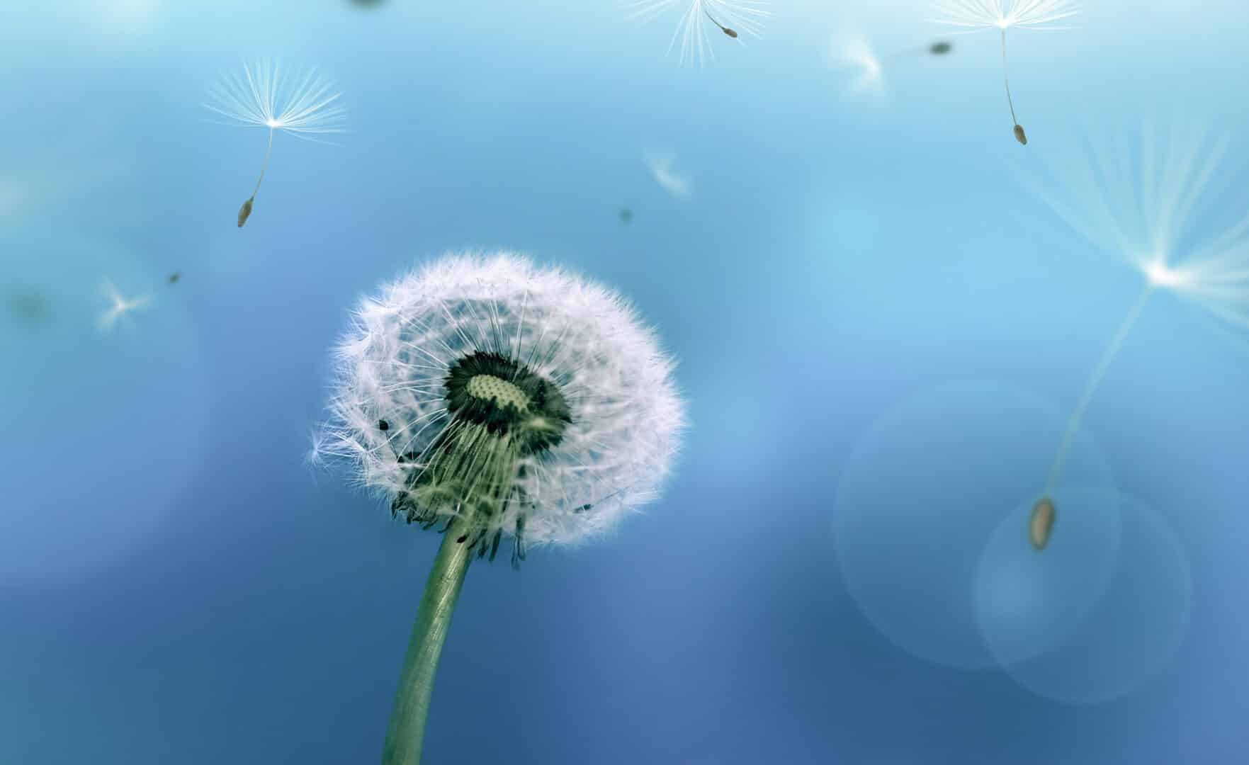 AdobeStock 90110190 e1645630047365