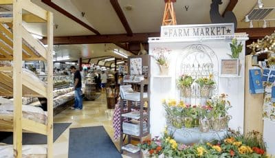 El Rancho Market, Solvang California 3D Model