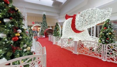 Woodland Mall Santa 3D Model
