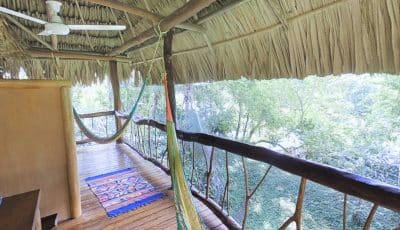 Cotton Tree Lodge, Belize 3D Model