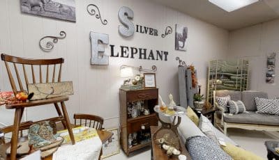 The Silver Elephant