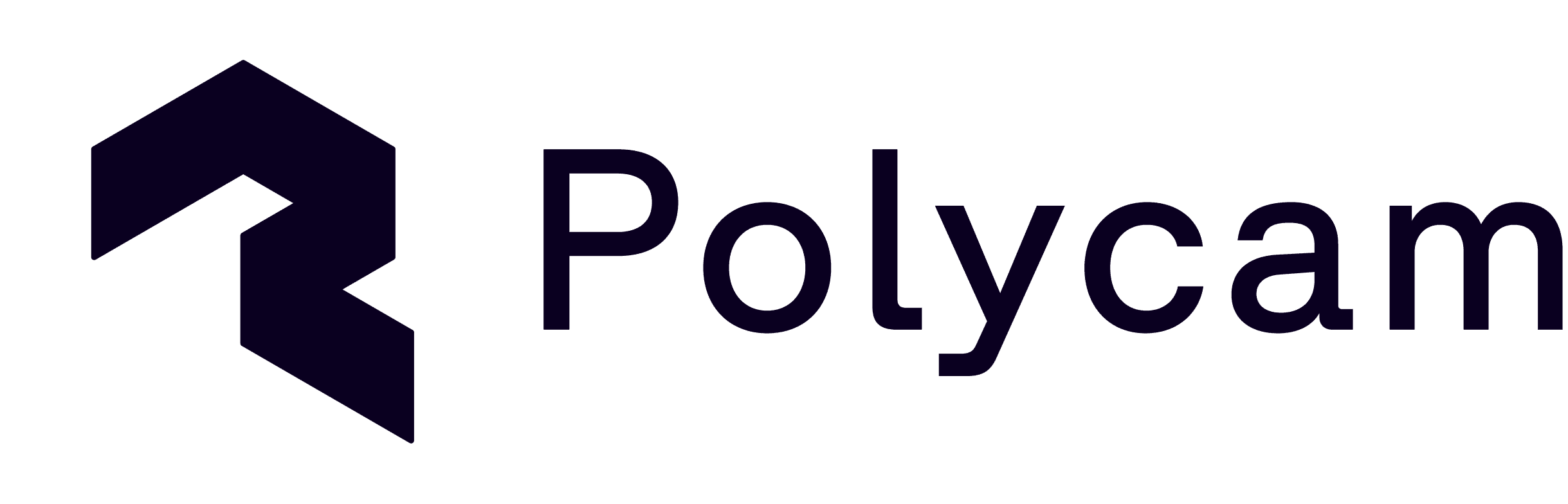 Polycam logo with geometric shape and text for 3D scanning services.