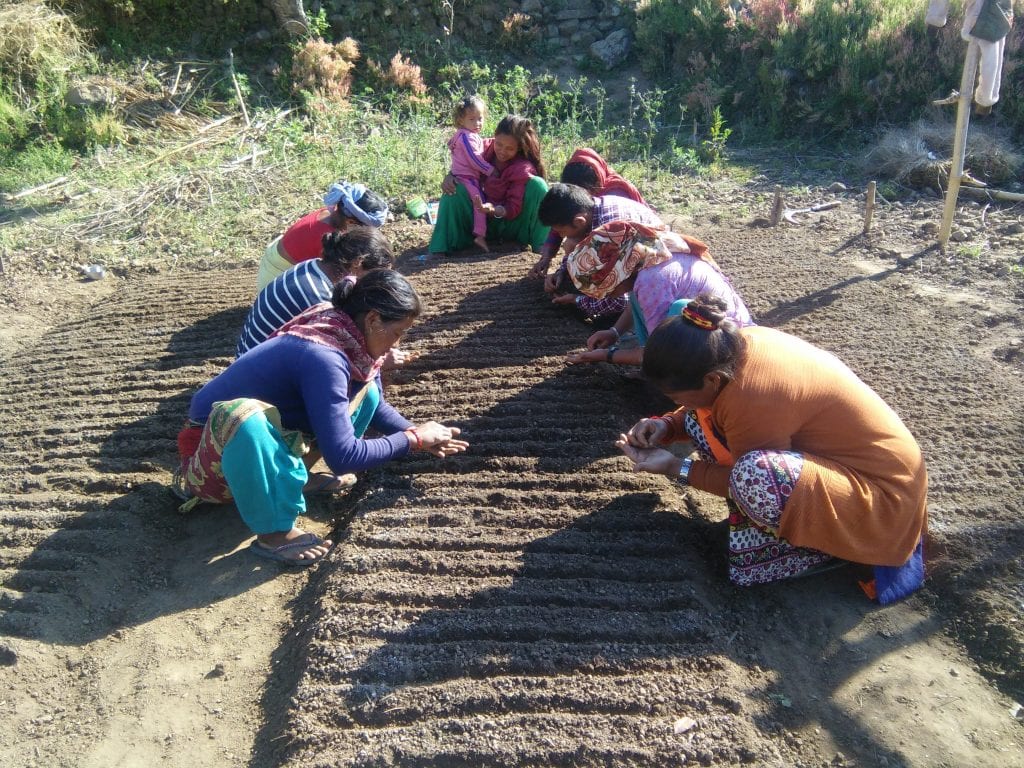 A group of women plant seeds in a patch of ground. 