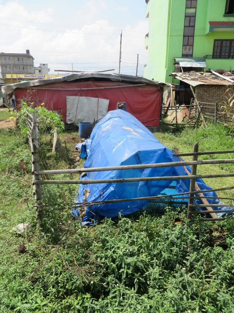 The biogas digester.