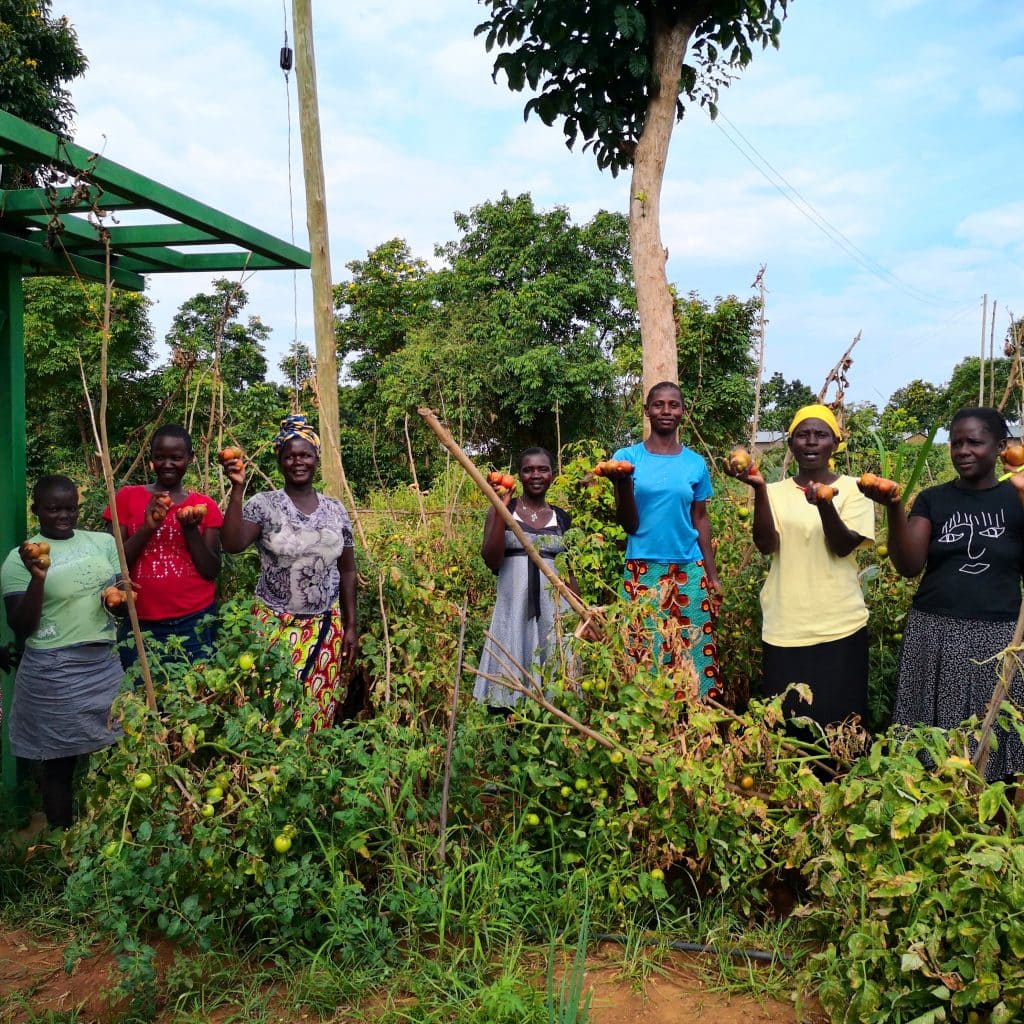 A group of women in Kenya showing their tomato crops