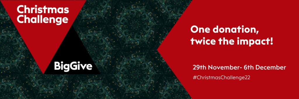 The Big Give Christmas Challenge header image. The text on the image reads: One donation, twice the impact! 29th November - 6th December #ChristmasChallenge22