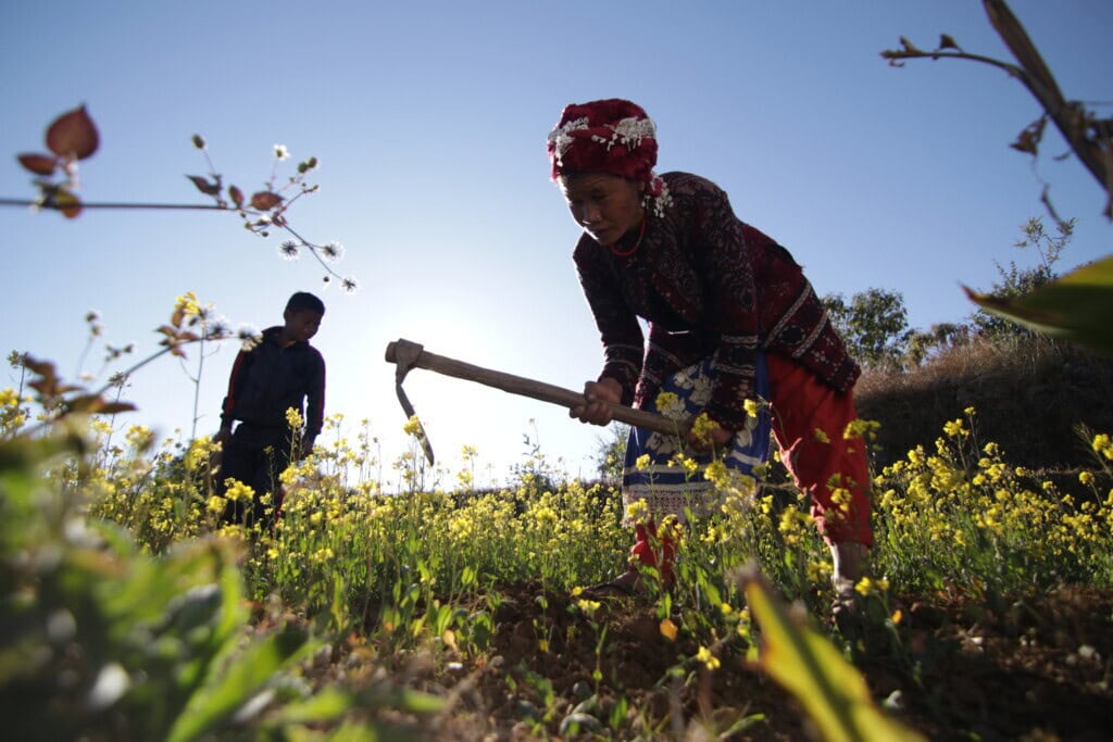 Woman farming in field in Nepal backlit by sun