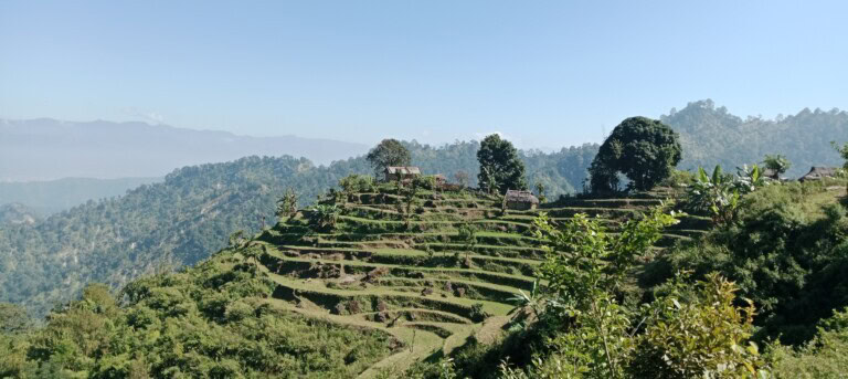 Views over Sungurkhal