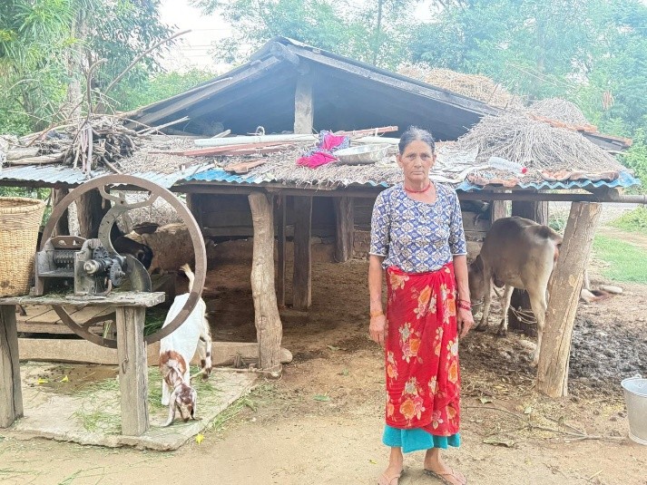 VCP_cattle-shed-before-project-support