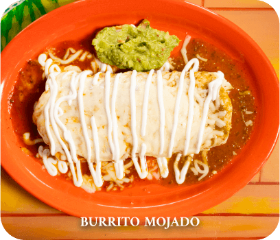 Burrito Mojado