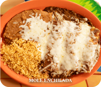 Mole Enchilada