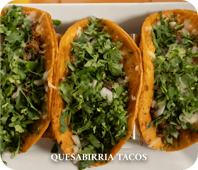 Quesabirria Tacos