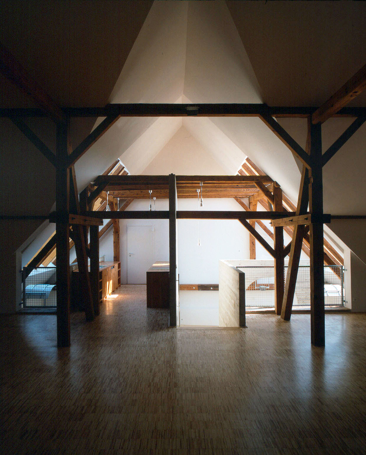 <p>© RUNSER / PRANTL architekten, Lanzendorfer Mühle Revitalisierung, 2130 Mistelbach, Niederösterreich, Österreich, 1993, Wohnhaus, Ordination, Wohnung, Dachbodenausbau, Fotograf Margherita Spiluttini</p>